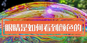 人類是如何看顏色的，影響人眼分辨顏色的因素有哪些?